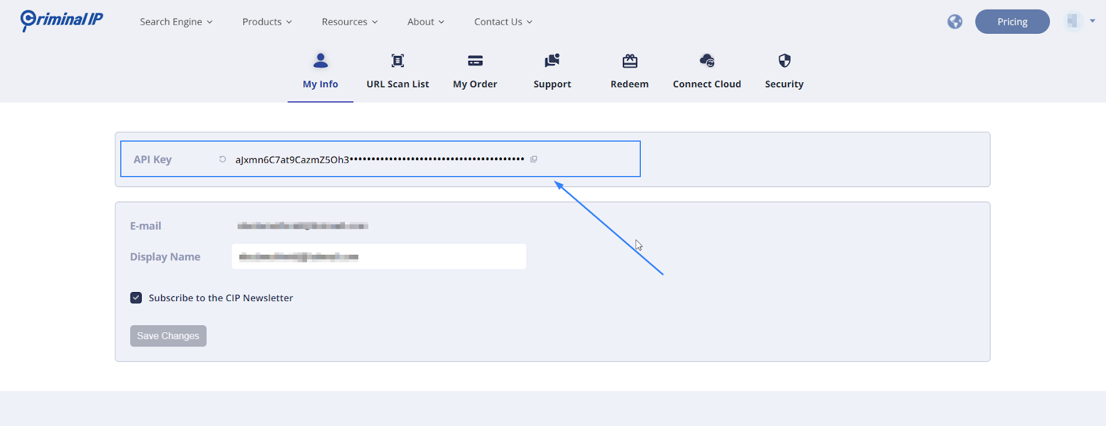 Criminal IP API key