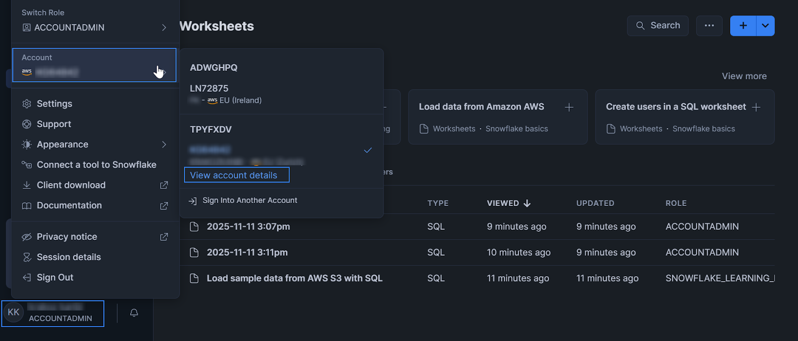 Account > View account details.
